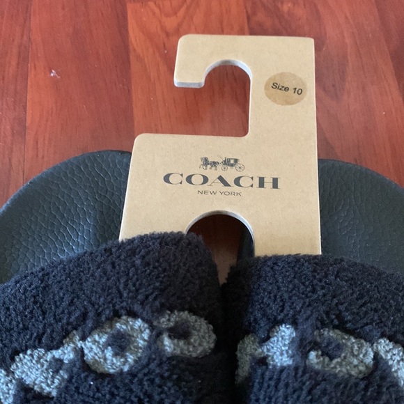 Authentic Coach slides